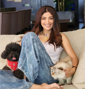 Shilpa Shetty drops 'paw-fect' video with pets Truffle, Simba: 'They are my peace' | Shilpa Shetty drops 'paw-fect' video with pets Truffle, Simba: 'They are my peace'
