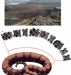 IIT Roorkee team finds giant ancient snake fossil in Gujarat | IIT Roorkee team finds giant ancient snake fossil in Gujarat