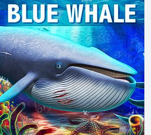 The deadly Blue Whale game that resulted in several deaths | The deadly Blue Whale game that resulted in several deaths