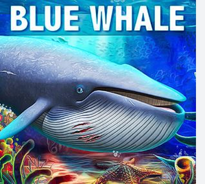 Pune Schoolboy Jumps Off 14th Floor to Complete Blue Whale Game Challenge | Pune Schoolboy Jumps Off 14th Floor to Complete Blue Whale Game Challenge