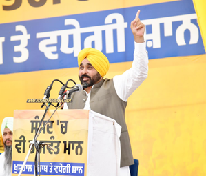 AAP volunteers' passion differentiates them from other parties: Punjab CM | AAP volunteers' passion differentiates them from other parties: Punjab CM