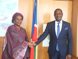 Namibia disappointed by U.S. veto of UN membership for Palestine | Namibia disappointed by U.S. veto of UN membership for Palestine