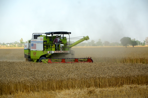 India’s agriculture & allied sector clocks 54.6 per cent jump in output from 2011–12 to 2023–24 | India’s agriculture & allied sector clocks 54.6 per cent jump in output from 2011–12 to 2023–24 India’s agriculture & allied sector clocks 54.6 per cent jump in output from 2011–12 to 2023–24 | India’s agriculture & allied sector clocks 54.6 per cent jump in output from 2011–12 to 2023–24