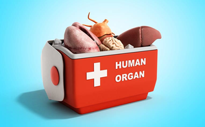Fake NOCs for organ transplant: Additional Superintendent of SMS Hospital suspended | Fake NOCs for organ transplant: Additional Superintendent of SMS Hospital suspended