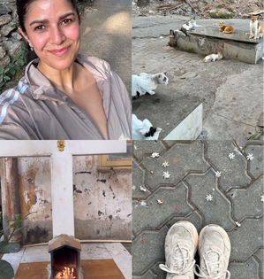 Nimrat Kaur shares glimpses of 'Bandra mornings', wishes 'Happy May Day' | Nimrat Kaur shares glimpses of 'Bandra mornings', wishes 'Happy May Day'