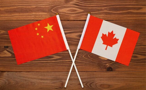 Chinese embassy in Canada refutes foreign interference accusations | Chinese embassy in Canada refutes foreign interference accusations