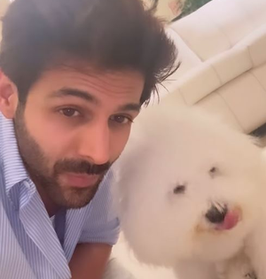 Kartik Aaryan's pawdorable video with pet Katori as he prepares to go for Sunday shoot | Kartik Aaryan's pawdorable video with pet Katori as he prepares to go for Sunday shoot Kartik Aaryan's pawdorable video with pet Katori as he prepares to go for Sunday shoot | Kartik Aaryan's pawdorable video with pet Katori as he prepares to go for Sunday shoot