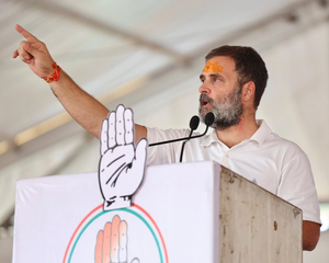Reservation quota will increase beyond 50 pc if Cong forms govt: Rahul Gandhi in MP | Reservation quota will increase beyond 50 pc if Cong forms govt: Rahul Gandhi in MP