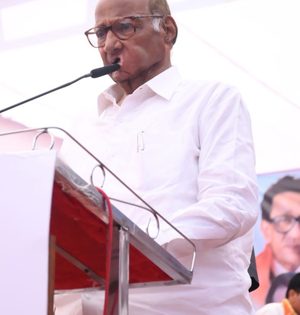 After Maha polls, Sharad Pawar to campaign in other states from May 20 | After Maha polls, Sharad Pawar to campaign in other states from May 20 After Maha polls, Sharad Pawar to campaign in other states from May 20 | After Maha polls, Sharad Pawar to campaign in other states from May 20