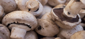Assam: Eight police personnel fall ill after eating mushrooms | Assam: Eight police personnel fall ill after eating mushrooms
