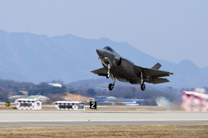 Several US F-22 stealth jets arrive in South Korea | Several US F-22 stealth jets arrive in South Korea