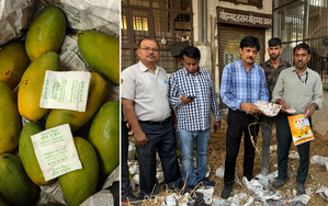 Food Safety Dept seize fruit ripening chemicals, issues challans to 4 traders in Jaipur | Food Safety Dept seize fruit ripening chemicals, issues challans to 4 traders in Jaipur
