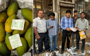 Food Safety Dept seize fruit ripening chemicals, issues challans to 4 traders in Jaipur | Food Safety Dept seize fruit ripening chemicals, issues challans to 4 traders in Jaipur Food Safety Dept seize fruit ripening chemicals, issues challans to 4 traders in Jaipur | Food Safety Dept seize fruit ripening chemicals, issues challans to 4 traders in Jaipur