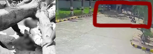 Man killed, wife injured as tree falls on them on Secunderabad hospital's premises | Man killed, wife injured as tree falls on them on Secunderabad hospital's premises Man killed, wife injured as tree falls on them on Secunderabad hospital's premises | Man killed, wife injured as tree falls on them on Secunderabad hospital's premises