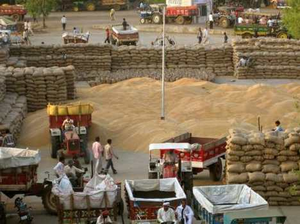 Paddy procurement to continue till last grain, says Telangana DyCM | Paddy procurement to continue till last grain, says Telangana DyCM Paddy procurement to continue till last grain, says Telangana DyCM | Paddy procurement to continue till last grain, says Telangana DyCM