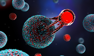 Novel CAR-T therapy shows promise against hard-to-treat cancer | Novel CAR-T therapy shows promise against hard-to-treat cancer Novel CAR-T therapy shows promise against hard-to-treat cancer | Novel CAR-T therapy shows promise against hard-to-treat cancer