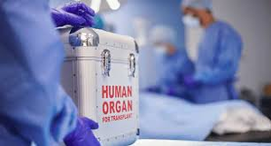 Kerala kidney racket: TN SIT probing details of donors from state | Kerala kidney racket: TN SIT probing details of donors from state Kerala kidney racket: TN SIT probing details of donors from state | Kerala kidney racket: TN SIT probing details of donors from state