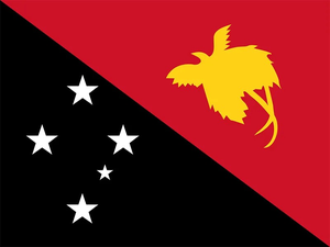 About 100 feared dead during huge landslide in Papua New Guinea | About 100 feared dead during huge landslide in Papua New Guinea About 100 feared dead during huge landslide in Papua New Guinea | About 100 feared dead during huge landslide in Papua New Guinea