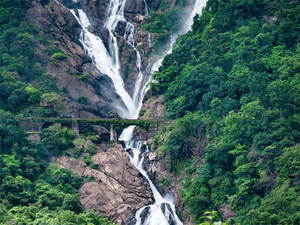 Jeep ride to Dudhsagar waterfall in Goa barred from June 1 | Jeep ride to Dudhsagar waterfall in Goa barred from June 1 Jeep ride to Dudhsagar waterfall in Goa barred from June 1 | Jeep ride to Dudhsagar waterfall in Goa barred from June 1