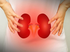 Researchers detect novel biomarkers for kidney diseases using new technique | Researchers detect novel biomarkers for kidney diseases using new technique