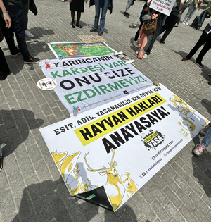 Vigil for disappeared activists in Turkey marks 1,000th week | Vigil for disappeared activists in Turkey marks 1,000th week