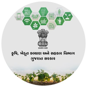 Gujarat: Agriculture Dept launches special intensive verification campaign | Gujarat: Agriculture Dept launches special intensive verification campaign