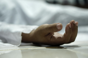 Uttar Pradesh: Snake Bite Claims Groom’s Life on Wedding Day | Uttar Pradesh: Snake Bite Claims Groom’s Life on Wedding Day