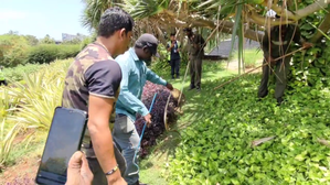 Mumbai: Cobra Rescued from Near Chhatrapati Shivaji Statue Outside Airport | Mumbai: Cobra Rescued from Near Chhatrapati Shivaji Statue Outside Airport Mumbai: Cobra Rescued from Near Chhatrapati Shivaji Statue Outside Airport | Mumbai: Cobra Rescued from Near Chhatrapati Shivaji Statue Outside Airport