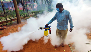 Dengue, chikungunya to become endemic in Europe, need proactive actions to mitigate: Study | Dengue, chikungunya to become endemic in Europe, need proactive actions to mitigate: Study Dengue, chikungunya to become endemic in Europe, need proactive actions to mitigate: Study | Dengue, chikungunya to become endemic in Europe, need proactive actions to mitigate: Study