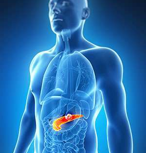 Novel method to counter chemotherapy resistance in pancreatic cancer developed | Novel method to counter chemotherapy resistance in pancreatic cancer developed Novel method to counter chemotherapy resistance in pancreatic cancer developed | Novel method to counter chemotherapy resistance in pancreatic cancer developed