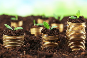 Indian economy among the few where investment rates rose between 2015-2023: Report | Indian economy among the few where investment rates rose between 2015-2023: Report Indian economy among the few where investment rates rose between 2015-2023: Report | Indian economy among the few where investment rates rose between 2015-2023: Report