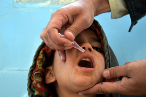 Pakistan: Poliovirus found in sewage samples of 3 infected districts | Pakistan: Poliovirus found in sewage samples of 3 infected districts Pakistan: Poliovirus found in sewage samples of 3 infected districts | Pakistan: Poliovirus found in sewage samples of 3 infected districts