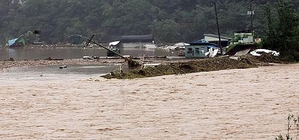 Death toll rises to five as heavy rains lash South Korea | Death toll rises to five as heavy rains lash South Korea Death toll rises to five as heavy rains lash South Korea | Death toll rises to five as heavy rains lash South Korea