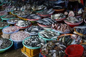 Centre holding Fisheries Summer Meet 2024 in Madurai | Centre holding Fisheries Summer Meet 2024 in Madurai Centre holding Fisheries Summer Meet 2024 in Madurai | Centre holding Fisheries Summer Meet 2024 in Madurai