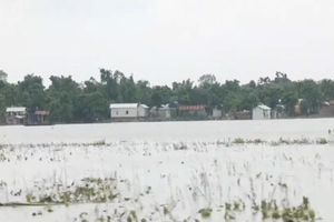 Assam flood situation sees further improvement, 14 lakh people still affected | Assam flood situation sees further improvement, 14 lakh people still affected Assam flood situation sees further improvement, 14 lakh people still affected | Assam flood situation sees further improvement, 14 lakh people still affected