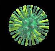Study decodes early insights on how bird flu crosses species barrier | Study decodes early insights on how bird flu crosses species barrier Study decodes early insights on how bird flu crosses species barrier | Study decodes early insights on how bird flu crosses species barrier