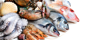 India’s seafood exports have surged by 31 pc to Rs 61,044 crore: Minister | India’s seafood exports have surged by 31 pc to Rs 61,044 crore: Minister India’s seafood exports have surged by 31 pc to Rs 61,044 crore: Minister | India’s seafood exports have surged by 31 pc to Rs 61,044 crore: Minister