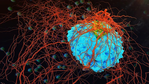 New gene test detects pathogens in blood without amplification | New gene test detects pathogens in blood without amplification New gene test detects pathogens in blood without amplification | New gene test detects pathogens in blood without amplification