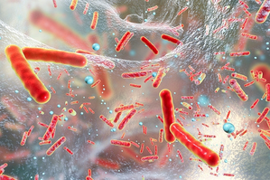 Screening all hospitalised patients can help prevent superbug outbreaks in hospitals: Study | Screening all hospitalised patients can help prevent superbug outbreaks in hospitals: Study Screening all hospitalised patients can help prevent superbug outbreaks in hospitals: Study | Screening all hospitalised patients can help prevent superbug outbreaks in hospitals: Study