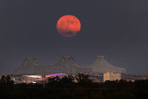 1st supermoon of 2024 ‘looks amazing’, says Elon Musk | 1st supermoon of 2024 ‘looks amazing’, says Elon Musk 1st supermoon of 2024 ‘looks amazing’, says Elon Musk | 1st supermoon of 2024 ‘looks amazing’, says Elon Musk