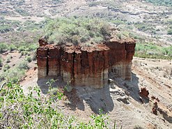 Fossil hotspots in Africa, a missing link in evolution | Fossil hotspots in Africa, a missing link in evolution Fossil hotspots in Africa, a missing link in evolution | Fossil hotspots in Africa, a missing link in evolution