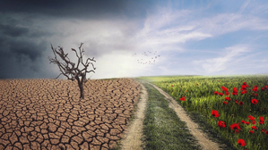 Finnish environmental groups take govt to court over climate change | Finnish environmental groups take govt to court over climate change Finnish environmental groups take govt to court over climate change | Finnish environmental groups take govt to court over climate change