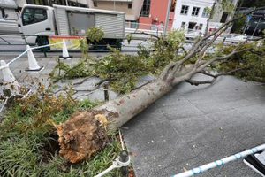 Four missing in Japan landslide | Four missing in Japan landslide Four missing in Japan landslide | Four missing in Japan landslide