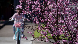 Above average temperatures forecast for spring in Australia | Above average temperatures forecast for spring in Australia Above average temperatures forecast for spring in Australia | Above average temperatures forecast for spring in Australia