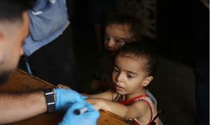 First phase of Gaza anti-polio campaign reaches 187,000 children: UN | First phase of Gaza anti-polio campaign reaches 187,000 children: UN First phase of Gaza anti-polio campaign reaches 187,000 children: UN | First phase of Gaza anti-polio campaign reaches 187,000 children: UN