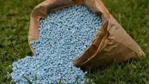 Govt giving extra fertiliser subsidy to farmers amid rise in global prices: Minister | Govt giving extra fertiliser subsidy to farmers amid rise in global prices: Minister Govt giving extra fertiliser subsidy to farmers amid rise in global prices: Minister | Govt giving extra fertiliser subsidy to farmers amid rise in global prices: Minister