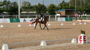 Taarini Lodha bags gold in EFI Concours De Dressage National (CDN) competition | Taarini Lodha bags gold in EFI Concours De Dressage National (CDN) competition Taarini Lodha bags gold in EFI Concours De Dressage National (CDN) competition | Taarini Lodha bags gold in EFI Concours De Dressage National (CDN) competition