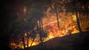 Death toll from Peru's forest fires rises to 18 | Death toll from Peru's forest fires rises to 18 Death toll from Peru's forest fires rises to 18 | Death toll from Peru's forest fires rises to 18