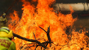 Sydney's beaches under bushfire emergency as firefighters battle blaze | Sydney's beaches under bushfire emergency as firefighters battle blaze