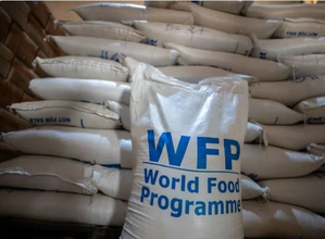 WFP launches emergency food operation for conflict-affected people in Lebanon | WFP launches emergency food operation for conflict-affected people in Lebanon